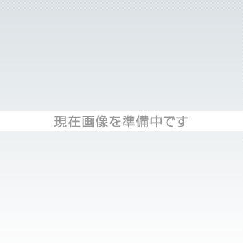 現在画像を準備中です